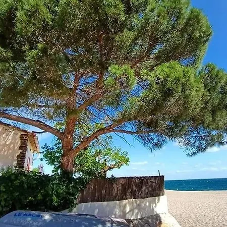 2 Pieces Avec Loggia A 150m De La Plage, Animaux Acceptes, Garage Compris - Fr-1-776-111 Argeles-sur-Mer