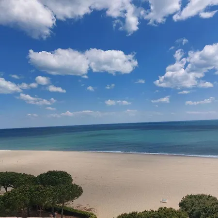 2 Pieces Avec Loggia A 150m De La Plage, Animaux Acceptes, Garage Compris - Fr-1-776-111 Apartment *
