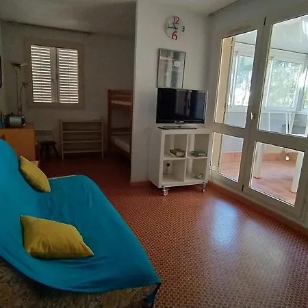 2 Pieces Avec Loggia A 150m De La Plage, Animaux Acceptes, Garage Compris - Fr-1-776-111 *